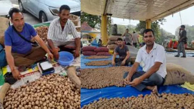 मंडी में तीन साल के संकट के बाद धूमधाम से मनेगा सायर पर्व, अखरोट की बंपर पैदावार से दामों में भारी गिरावट

